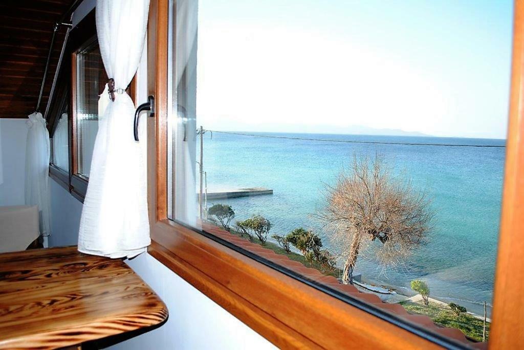 Golden Attic Apartment เนอาโรดา ภายนอก รูปภาพ